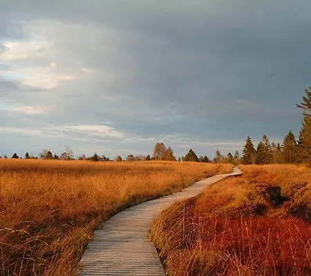 Les Lucioles Bed & Breakfast Francorchamps