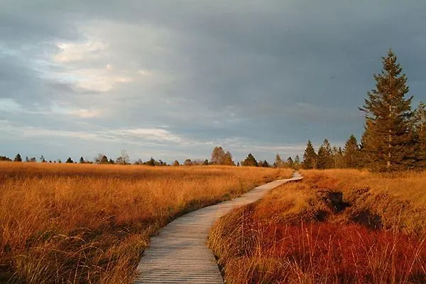 Les Lucioles Bed & Breakfast Francorchamps